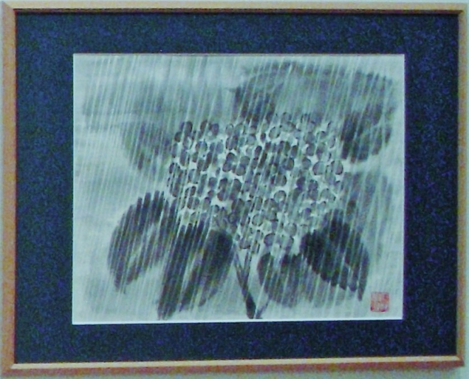 「雨のあじさい」　石坂和明