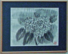 「雨のあじさい」　石坂和明