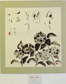 紫陽花　四葩（ヨヒラ）