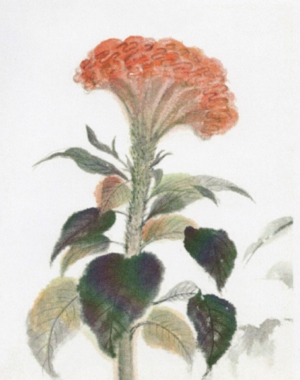 「彩「けいとう」遠藤洋子　（2013/11無錫書画院）