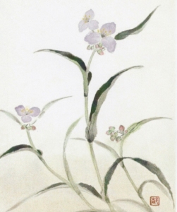 「露草」　茨木とし子（2013/11無錫書画院）