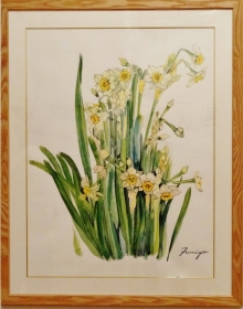 「スイセン」 藤井ふみよ 「スイセン」 藤井ふみよ