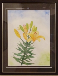 「百合」 F6 市川善朗 「百合」 F6 市川善朗