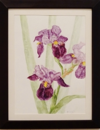 「情熱の花」 F4 齋藤義保 「情熱の花」 F4 齋藤義保