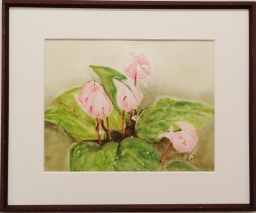 「カタクリ」 八切 河原公治 「カタクリ」 八切 河原公治