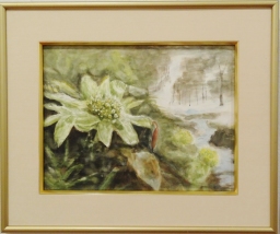 「ふきのとう」 F4 河原公治 「ふきのとう」 F4 河原公治