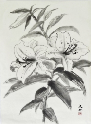 「カサブランカ」 F6 須永文江 「カサブランカ」 F6 須永文江