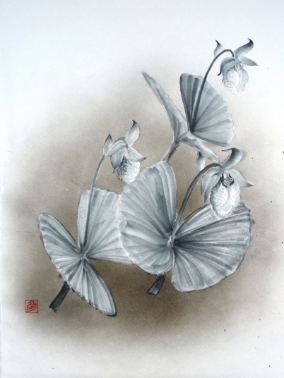 「熊谷草」　F6　植木克彦