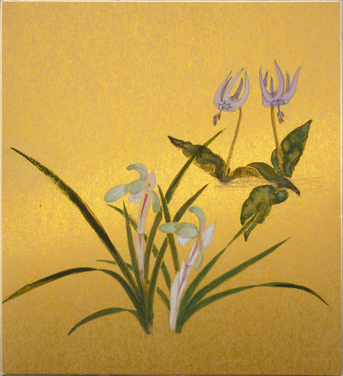 「春蘭・カタクリ」　(色紙）　植木克彦