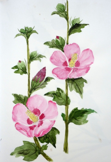 「木槿」　F4　植木克彦