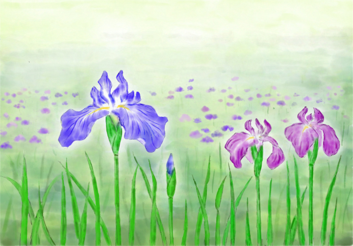 「花菖蒲２０２１」　（デジアート）市川善朗