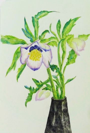 「クリスマスローズ」　F8　齋藤義保