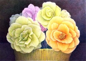 「球根ベゴニア」 色鉛筆画 F4 石倉孝博 「球根ベゴニア」 色鉛筆画 F4 石倉孝博