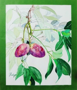 「ムベ」 F8 「ムベ」 F8