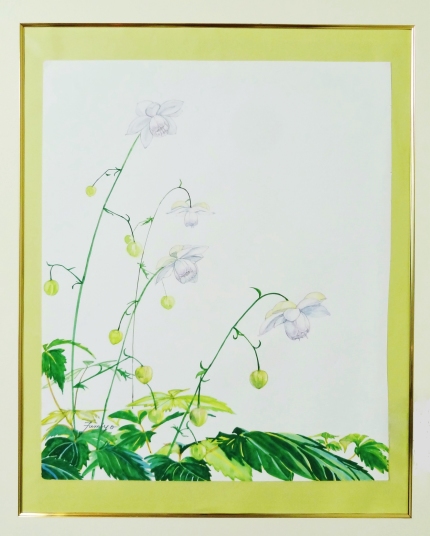 「レンゲショーマ」　　Ｆ８