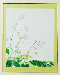 「レンゲショーマ」 F8 「レンゲショーマ」 F8