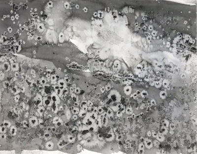 ＃１５　「透明人間」　詩：タオル　絵：大賀隆美