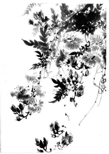 手本「ノウゼンカズラ」