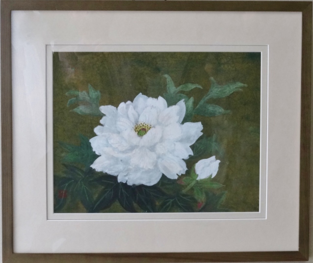 牡丹　　柴日出子