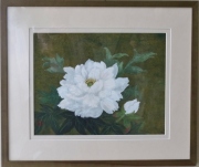 牡丹　　柴日出子