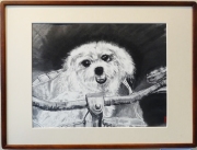 「お出かけ」　Ｆ６　講師　松尾好高先生