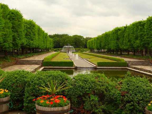 昭和記念公園スケッチ会