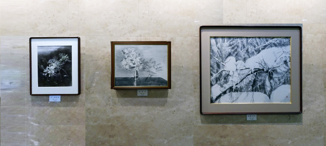 ギャラリー9(河原公治) ギャラリー9(河原公治)