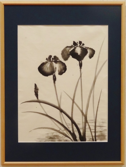 花菖蒲　　市川善朗