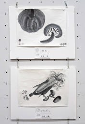 上：　６「栗原京「南瓜」　　下：　７　「小林治稀「とうもろこし」