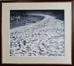 「泡沫（うたかた）浪々」　F10　河原公治