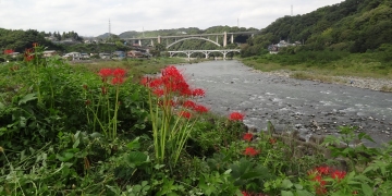 相模川自然の村風景自然の村
