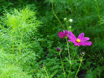 相模川自然の村風景自然の村