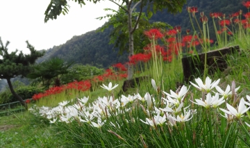 相模川自然の村風景自然の村