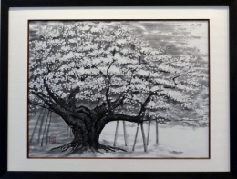 「淡墨桜」　F10　市川善朗