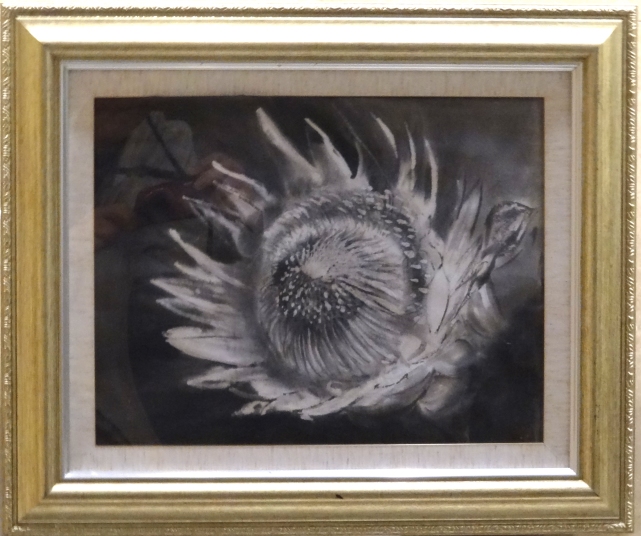 「キングプロテア」　F10　石坂和明