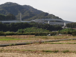 相模自然の村２０２０年１１月