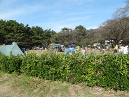 相模自然の村２０２０年１１月