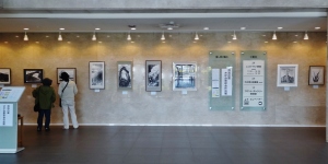 ＜清流の里展2017/11＞