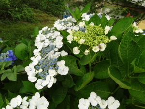 相模川自然公園