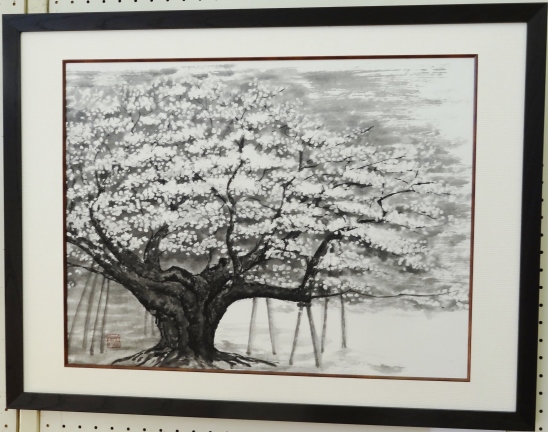 「薄墨桜」　　市川善朗