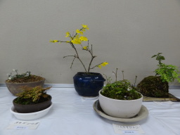 コミュニティ室